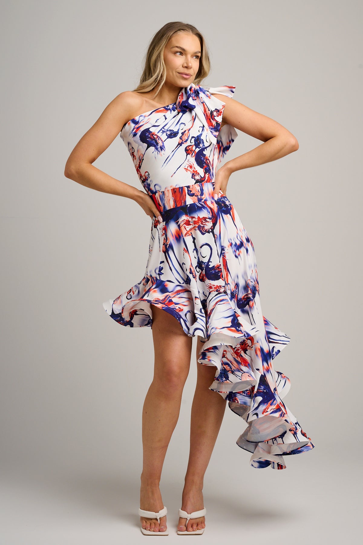 Phoenix Frill Dress Flamingo